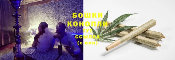 прущие грибы Мегион