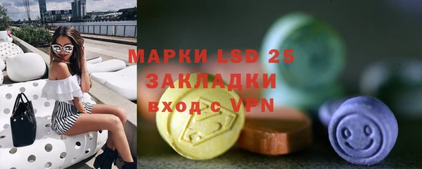 прущие грибы Мегион