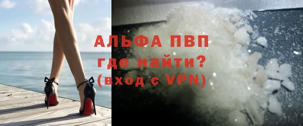 прущие грибы Мегион