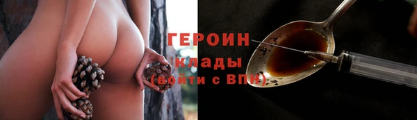 прущие грибы Мегион