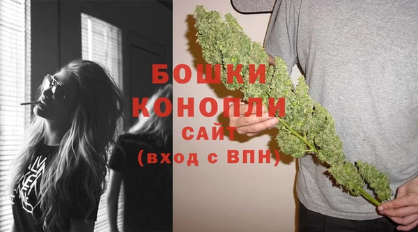 прущие грибы Мегион