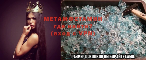 прущие грибы Мегион