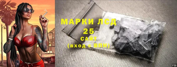 прущие грибы Мегион