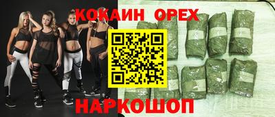 шишки Камышлов