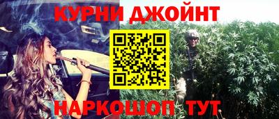 шишки Камышлов