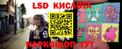 шишки Камышлов
