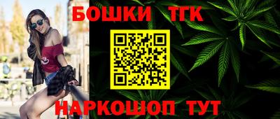 шишки Камышлов