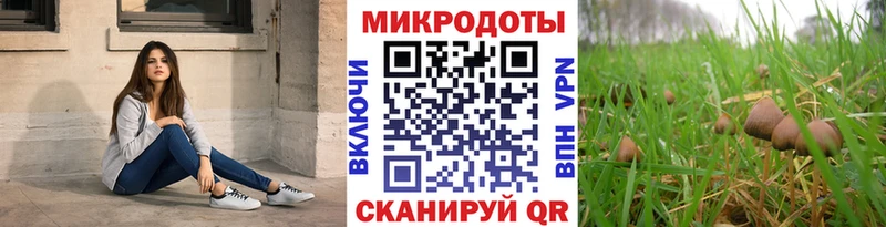 Псилоцибиновые грибы Psilocybe МЕГА ONION Сухой Лог купить