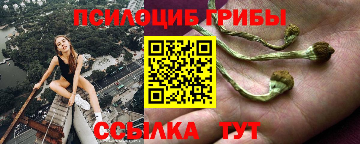 Галлюциногенные грибы Magic Shrooms Сухой Лог