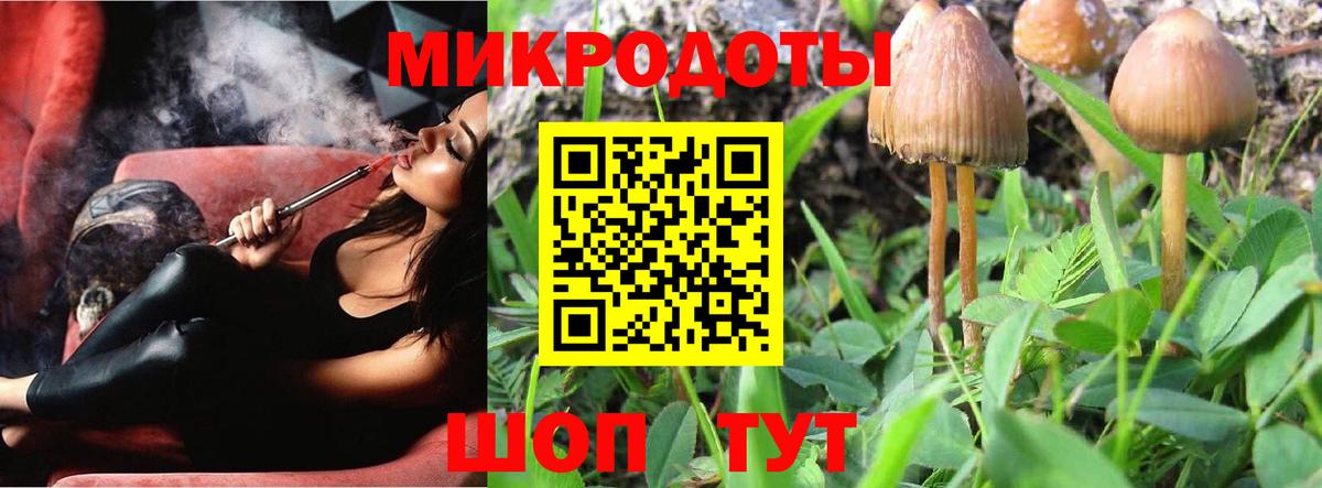 Галлюциногенные грибы Psilocybe  Псилоцибиновые грибы Psilocybine cubensis  Вход с VPN  Сухой Лог 